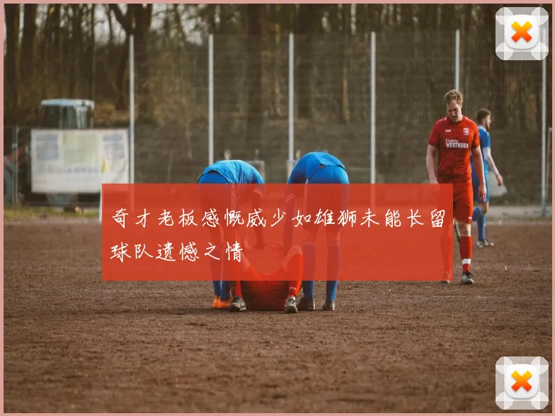 奇才老板感慨威少如雄狮未能长留球队遗憾之情