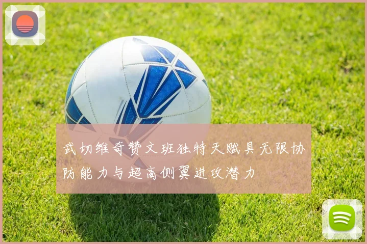 武切维奇赞文班独特天赋具无限协防能力与超高侧翼进攻潜力